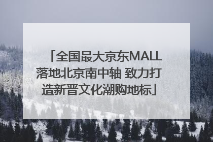 全国最大京东MALL落地北京南中轴 致力打造新晋文化潮购地标